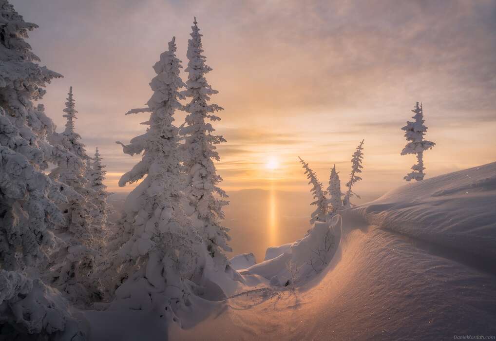 Зимние пейзажи Даниила Коржонова