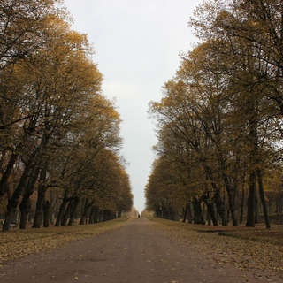 Осенний Павловск