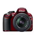 Зеркальный фотоаппарат Nikon D3100 kit 18-55VR + 55-200VR