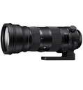 Фотообъектив Sigma AF 150-600mm f/5.0-6.3 DG OS HSM Sports Nikon F