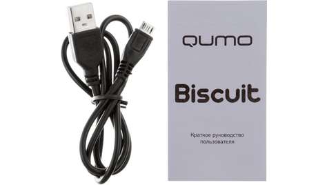 Аудиоплеер Qumo Biscuit