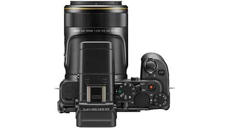 Компактный фотоаппарат Nikon DL24-500