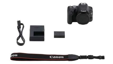Зеркальная камера Canon EOS 200D Body