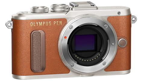 Беззеркальный фотоаппарат Olympus PEN E-PL8 Body