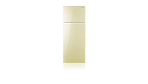 Холодильник Samsung RT60KSRVB