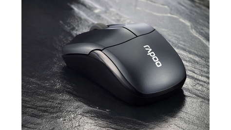 Компьютерная мышь Rapoo 1090