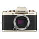 Беззеркальная камера Fujifilm X-T100 Body Champagne Gold