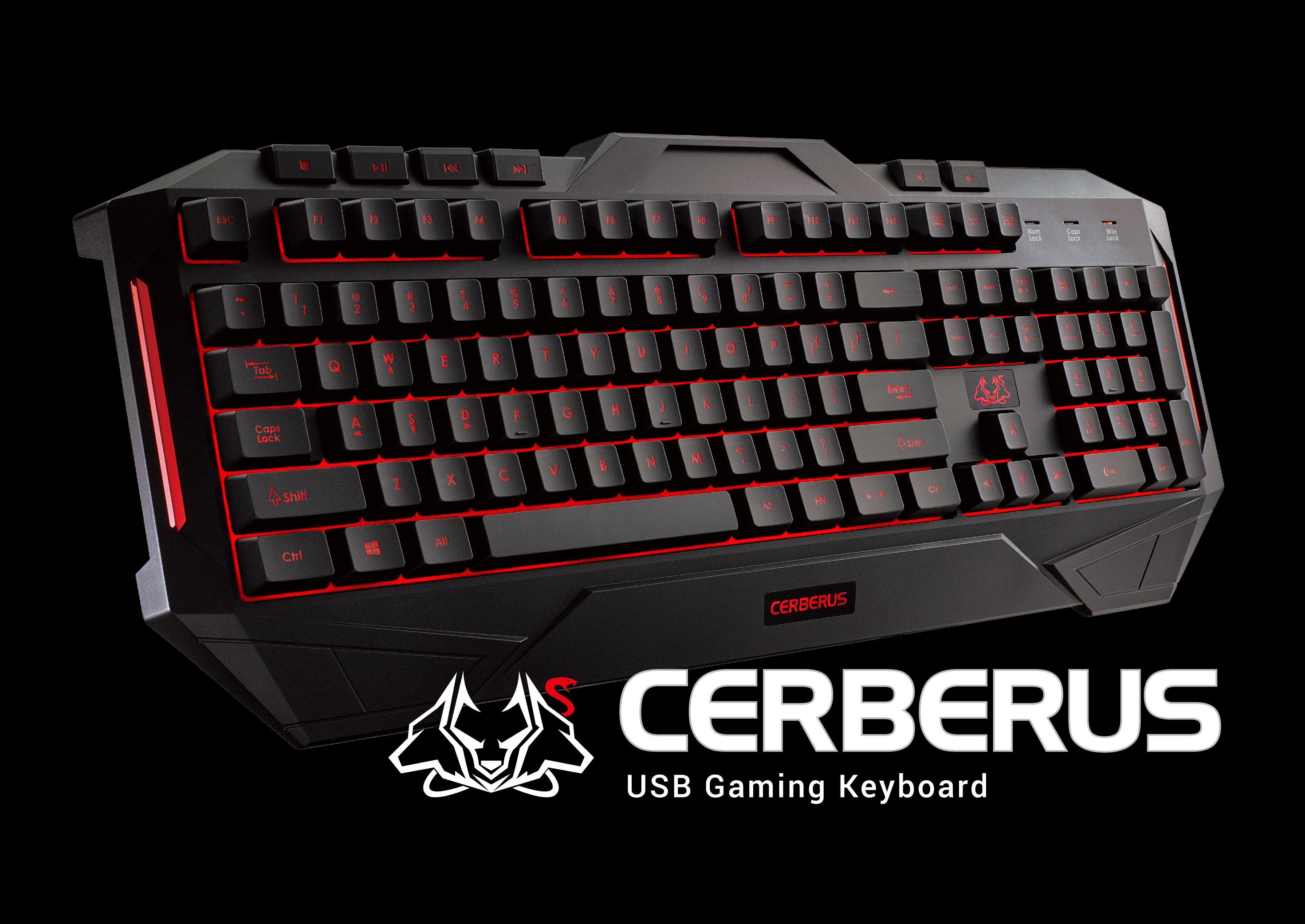 Usb gaming. Клавиатура и мышь асус Cerberus Combo. Клавиатура ASUS Cerberus. ASUS Cerberus Combo клавиатура и мышь. Клавиатура за 14000 асус Cerberus.