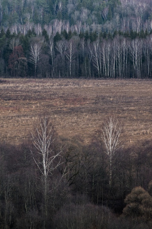 Объектив AF-S Nikkor 70-300 f/4,5-5,6 G ED VR f/7,1,  1/800 с,  ISO 250