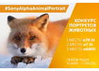 Объявлено жюри конкурса #SonyAlphaAnimalPortrait