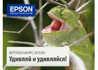 Сначала  - на Винзавод, на фотосеминар EPSON, а потом - «Удивляй и удивляйся»