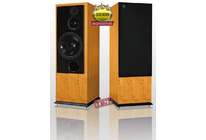 Тест акустической системы ATC SCM100 ASL: активные профессионалы