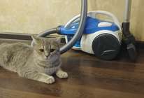 Тест – обзор пылесоса Candy All Floors CAF2002 019