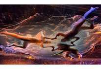 Сергей Пономарев: «Я меняюсь, меняется и моя фотография»