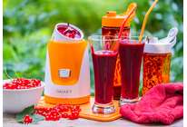 Тест блендера Galaxy GL2150