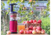 Шнековая соковыжималка Scarlett SC-JE50S41