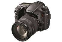 Тест зеркального фотоаппарата SONY SLT-A77: дикого лиса я отснял в течение месяца...