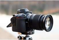 Тест Nikon Z7. Пришел, чтобы ускорить эволюцию… 