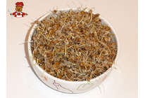 Рецепт Пророщенной пшеницы для дегидратора Oursson DH0620D