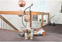 Пылесос для сухой уборки Thomas DryBOX + AquaBOX Cat&Dog