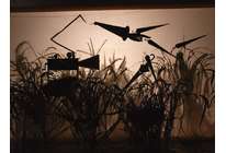 Обзор современного фотоискуства: китайское арт-чудо