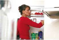 Предисловие к холодильнику: обзор систем хранения