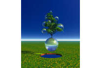 Наш дом – земля, а дома – не мусорят...