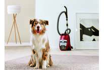 Пылесос MIELE Blizzard CX1: НОВЫЕ СТАНДАРТЫ ЧИСТОТЫ