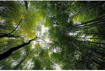 Выбираем климатический комплекс: три по 50 тыс. руб.