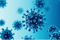 В сети стремительно распространяются новые фейки о COVID-19