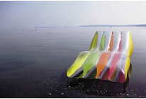 Таинство цвета: «Паспорта» цветов