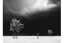 Элио Чиол — победа над усталостью света