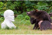 Сергей Горшков: Мои знакомые медведи