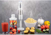 Блендер REDMOND RHB-2973: все + пюре