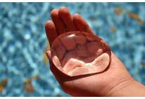 Фильтры Барьер: когда вода всегда будет чистой?