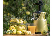 Шнековая соковыжималка Zigmund & Shtain ESJ 770