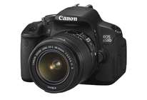 Тест Canon EOS 650D: улучшенный автофокус позволяет снимать в зоопарке любые сюжеты