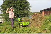 Тележка садовая самоходная Greenworks G40GC – тест - обзор