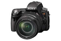 Тест зеркальной фотокамеры Sony SLT-A55