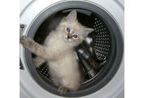 Запах в стиральной машине? Пора чистить