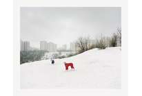 Обзор фоторабот Александра Гронского