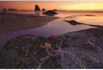 Поэзия и проза пейзажной фотографии: часть 3