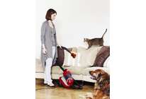 Ну, погоди! Пылесосы-animal выходят на охоту