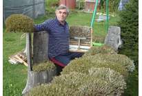 Исландский мох лечит болезни: бабушкины сказки или научные факты?