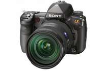 Тест зеркального фотоаппарата Sony Alpha 900: как группа  Альфа снимала в заповеднике