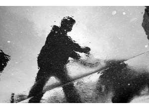 Режиссёр Александр Котт принимает участие в выставке ПЭКШОТ