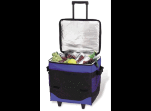 В чем охладить пиво на пикнике?