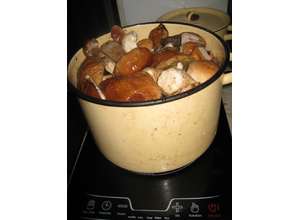 Папа, купи на дачу еще одну плиту - тоже индукционную!