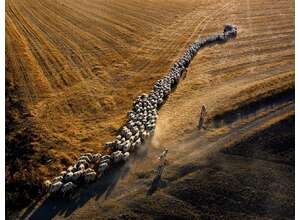 ViewSonic объявляет 100 победителей международного фотоконкурса ColorPro Award 2021