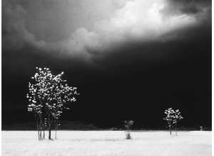 Элио Чиол — победа над усталостью света